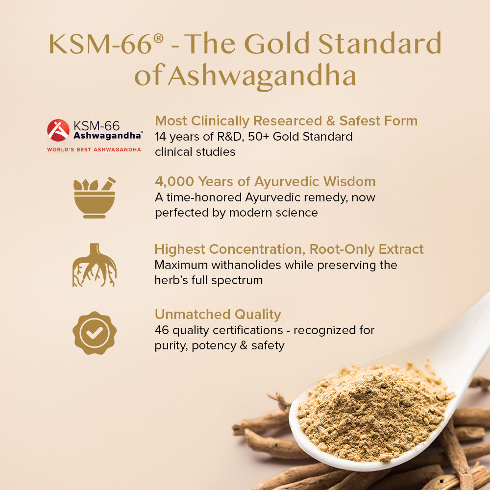 Ashwagandha Coffee (Pack of 1)