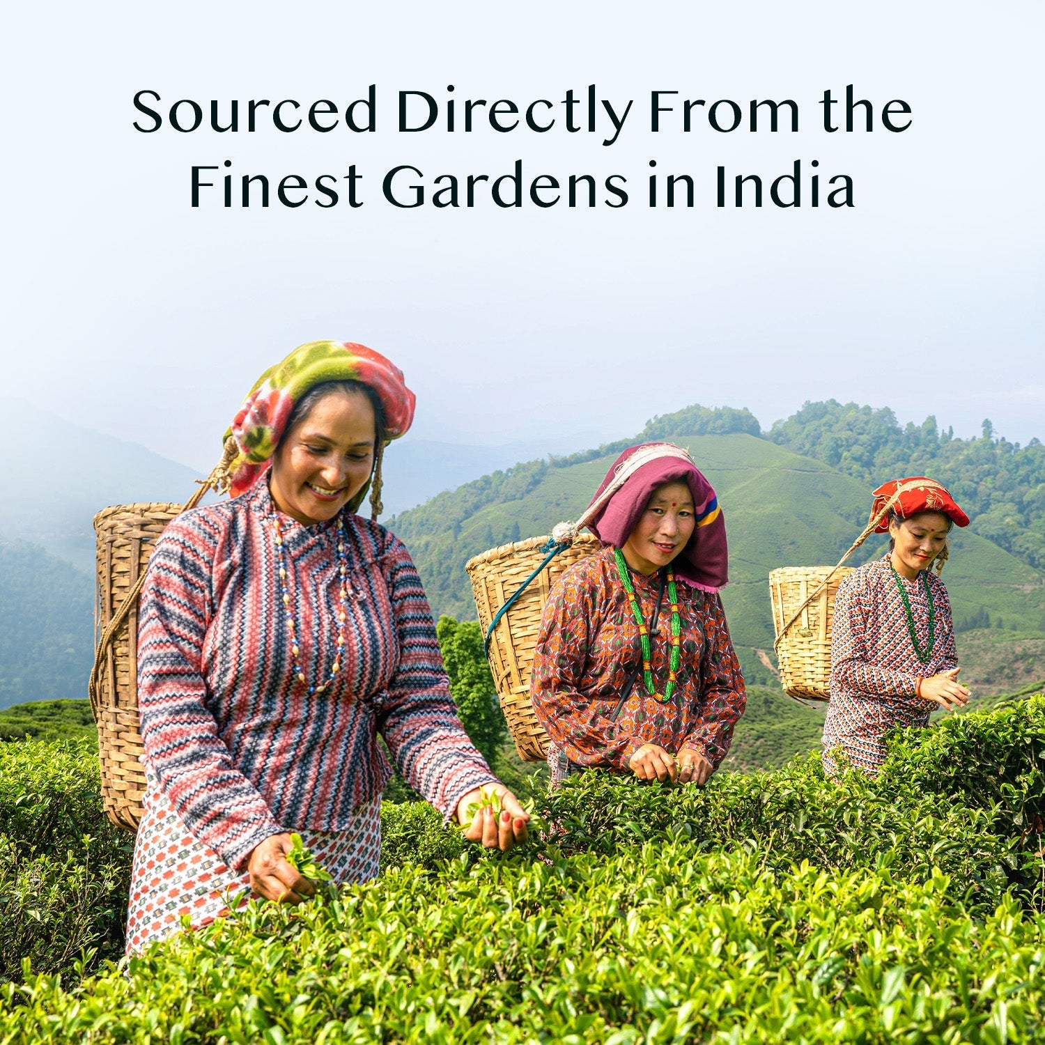 Cardamom Masala Chai Tea, 3.53 oz