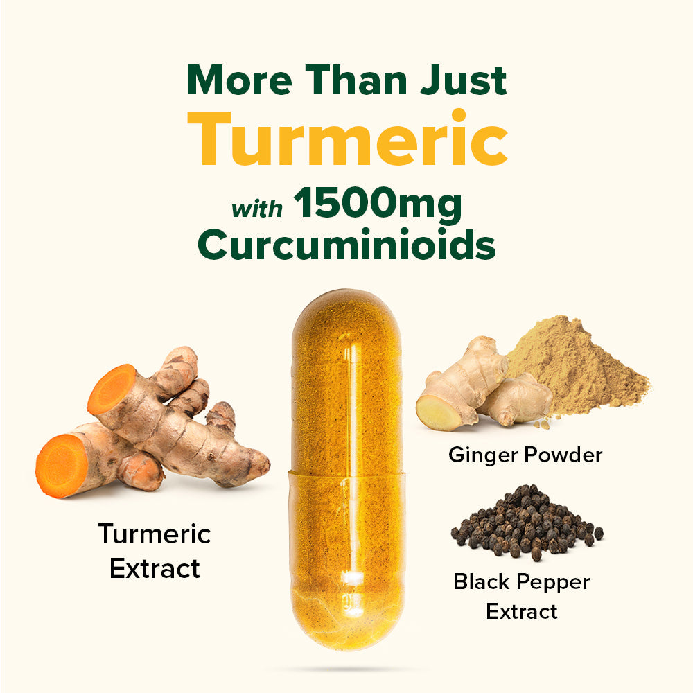 Vahdam Turmeric Ginger with 1500mg Curcumunoids