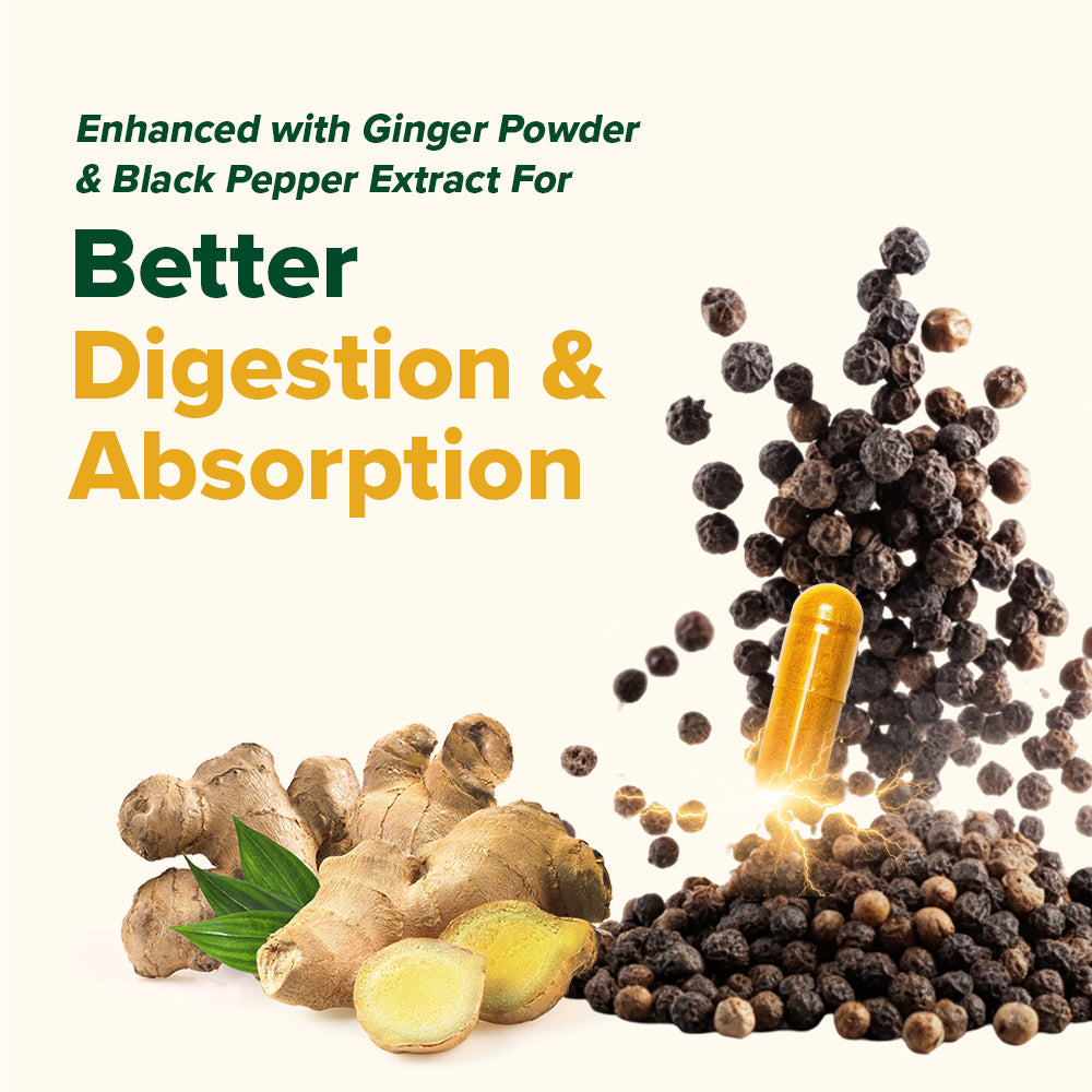 Vahdam Turmeric Ginger with 1500mg Curcumunoids