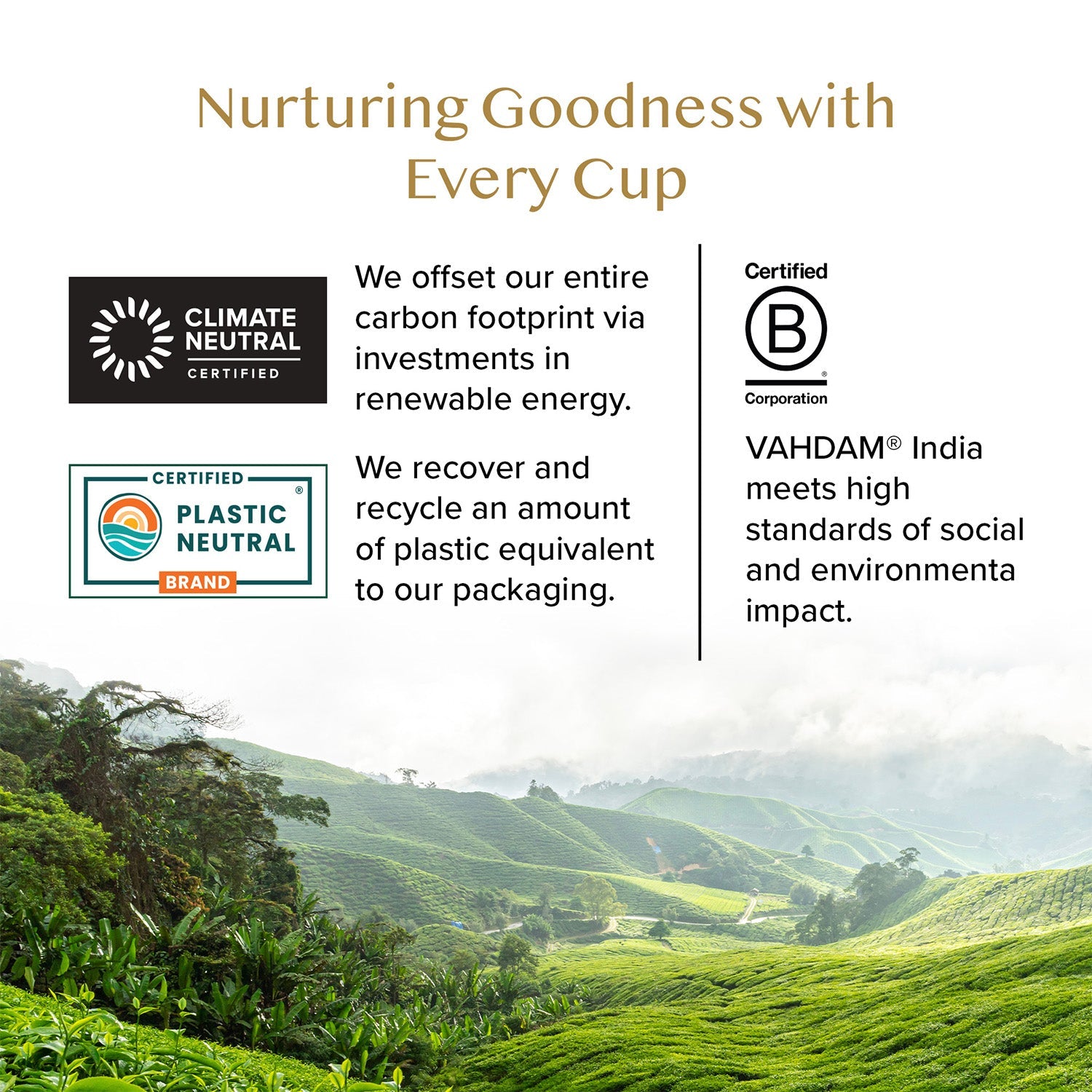 Mint Melody Green Tea, 3.53oz/100g